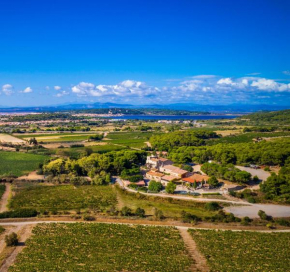  Château le Bouïs  Грюиссан